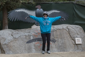 402-4710 Safari Park - Lynne vs California Condor Wingspan
